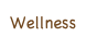 Wellness